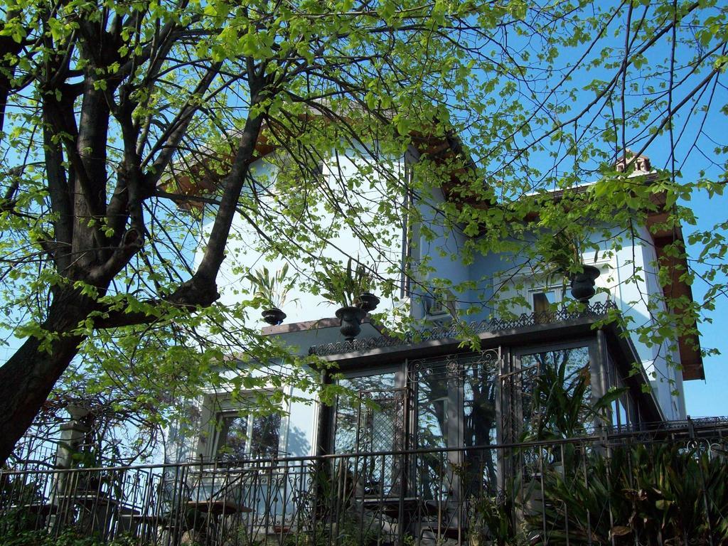 Villa Fiorita Монфальконе Номер фото